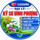 VTNN KỸ SƯ ĐÌNH PHƯỢNG