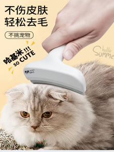 แปรงตัดขนสัตว์แบบเรียบง่าย ด้ามจับทรงกลม ด้ามจับแบบแบน ด้ามจับแบบทรงกลม เครื่องมือตัดขนสัตว์ แปรงสีสันสดใส สำหรับสัตว์เลี้ยง