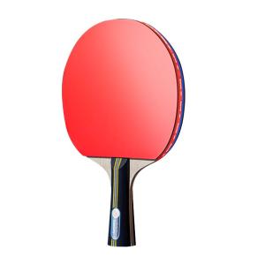 Deerway | High Elasticity Beginner Friendly Children Table Tennis Rackets 2 Pcs
