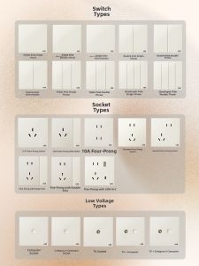 ABB | Single and Dual Control 5-Hole AC Power Outlet Panel 16A