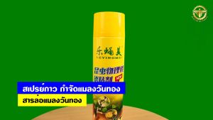 สเปรย์กาว กำจัดแมลงวันทอง ((มีหลายตัวเลือก))
