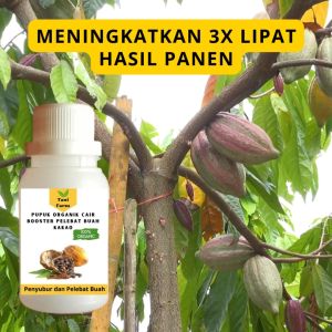 Pupuk Kakao Cepat Berbuah / Pupuk Pelebat Buah Kakao / Pupuk Booster Kakao Cair