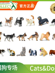 CollectA รุ่นเล็กสัตว์ป่าจำลอง แมวและหมา ที่เล่นเสริมสร้างสมอง รุ่นของสุนัขพันธุ์ต่างๆ สำหรับผู้ใหญ่