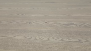 Wodi Las Vegas 9-12-18-24 Watt Bohlam Emergency Lampu LED Cool Daylight Putih BONUS Fitting Gantung