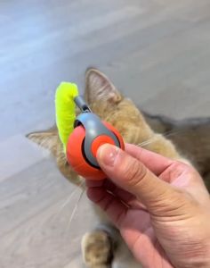 รุ่น2 ของเล่นแมวโต้ตอบ Ball ลูกบอลกลิ้งไฟฟ้าอัตโนมัติของเล่นสําหรับแมว/คิตตี้สัตว์เลี้ยงสมาร์ทชาเซอร์อัตโนมัติ USB ชาร์จ