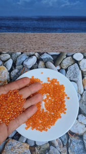 Payet pasir mote manik manik pasir jepang kebaya ukuran 4 mm per 10 gram