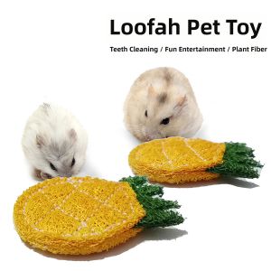 VOA | Interactive Rabbit Toy Puzzle and Teether for Chinchillas and Rabbits