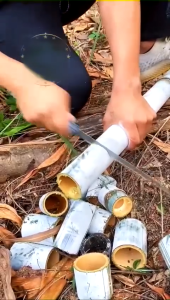 35cm Gergaji Bonsai Premium Gergaji Kayu Mini Tajam Untuk Pemangkasan Dahan Ranting