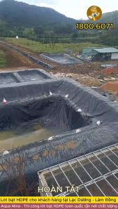 Bạt lót ao hồ 4m x 14m dày 0.3mm bảo hành 5 năm