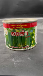แตงกวา ออร่า หมดอายุ 09/2569 ขนาด 50 กรัม เมล็ดพันธุ์ ลอตใหม่ ปลูกง่าย งอกดี ขึ้นค้างเก่ง ผลดกสวย เขียวนวล ผลดกสวย ทรงกระบอก ผลยาว 10-12 cm. อายุเก็บเกี่ยว 28-30 วัน