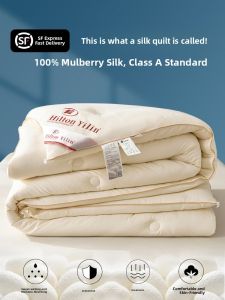 Thickened Silk Cotton Quilt Pure Cotton  Silk Spring Autumn Air Conditioner Student Double Bedding Core Winter Quilt