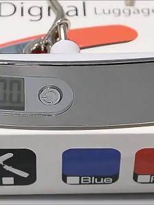 Besee | Stainless Steel Portable High Precision Household Digital Scale 50kg