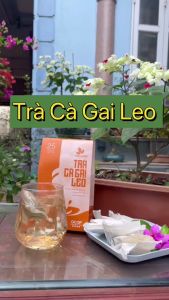 Combo 05 Túi Trà Cà gai leo Thái Hưng (25 túi lọc x 5g) - Thải độc gan mát gan giải rượu bia