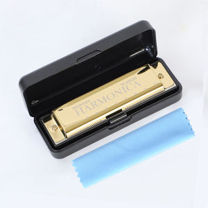 10 Hole Harmonica Key C Blues Harp Mouth Organ Phosphor Bronze Case Diatonic Beginner Harmonica Kit for Kids