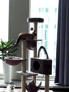 Passion คอนโดแมว3ชั้น คอนโดแมว ที่ลับเล็บแมว ที่นอนแมว ของเล่นแมว คอนโดแมว คอนโดแมวไม้ แข็งแรง ทนทาน