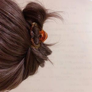 Small Hair Clips for Women Shark Bite Hair Accessories Half Updo Hairpins Simple Stylish Hair Accessories for Thin Hair