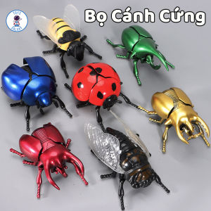 Đồ Chơi Côn Trùng Chạy Dây Cót Cho Bé - Mô Hình Bọ Cánh Cứng Bọ Hung Chuồn Chuồn Nhựa ABS Cao Cấp