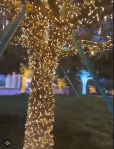 ไฟหิ่งห้อย 50-100 เมตร สายดำ หัวคริสตัล ไฟประดับ LED ความยาว กันน้ำ ไฟตกแต่ง ไฟหยดน้ำ ไฟปีใหม่ ไฟคริสมาสต์ เลือกสี ราคาล่าสุด