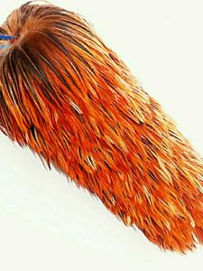 Jiaxun | Non-shedding Real Feather Duster