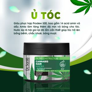 Kem ủ chăm sóc tóc chuyên sâu phục hồi hư tổn - Cannabis Hair 300ml - ShopFood77