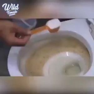 Wild Tornado Sink and Drain Cleaner Pembersih Saluran Anti Sumbat