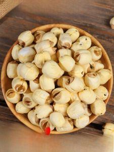 Authentic Handmade Special Grade Dried Lotus Seeds 500g Coreless Premium Quality Jian Ning White Lotus Traditional Chinese Medicine
