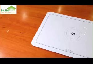 TẤM SILICON GIỮ NÓNG THỰC PHẨM MÓN ĂN CÓ THỂ CUỘN TRÒN GẤP GỌN LINH HOẠT. LÀ MÂM MỎNG GIỮ NHIỆT THÔNG MINH "BAHAMAR" Dùng hâm nóng món ăn ủ ấm sữa giữ ấm trà rã đông thực phẩm sấy khô