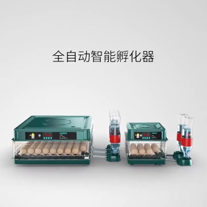 New Automatic Egg Incubator with Temperature Control for Poultry Breeding 12 Eggs Incubator Digital Fully Automatic Egg Turning Chick Duck Quail Digital Hatcher
