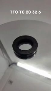 Seal Tc 20 32 6 TTO INB Original TTO