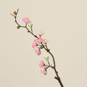 Original Version Dance Props Cherry Blossom Paper Bookmarks with Tassel for Adults And Children Classical Stationery Items