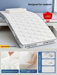 Gaorui | Foldable Single Person Mattress Pad for Rental Apartments