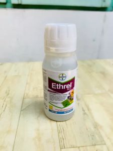ETHREL 100 ml PEMATANG BUAH DARI BAYER