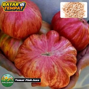 [Virladia Seeds] Biji Benih tanaman Tomat Pink Jazz