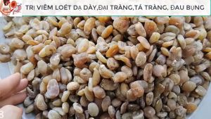 10 hạt sành trắng nguyên hạt chưa cạo vỏhỗ trợ dạ dày (GIÁ SỈ )