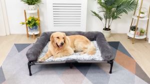 BingoPaw เตียงสุนัข ที่นอนสูง Elevated Dog Bed with Detachable Bolster & Raised Dogs Cot Hammock - ชุด 2 รายละเอียด
