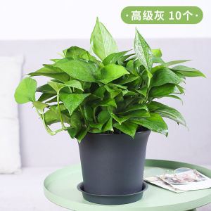 Elegant Resin Flower Pots Thick Durable Breathable Tray Premium Home Use Garden Planters High Quality Flower Vases Greenery
