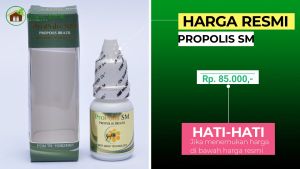 Obat Tetes Sakit Gigi Berlubang Nyeri Gigi Ngilu Sensitif Gusi Bengkak Bau Mulut Sariawan Nafas Bau Herbal Propolis SM Brazil Aman Tanpa Efek Samping