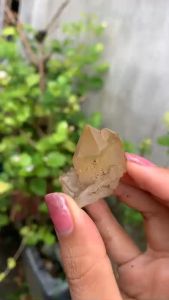 tinh thể đá thạch anh vàng tự nhiên dễ thương sưu tầm 4