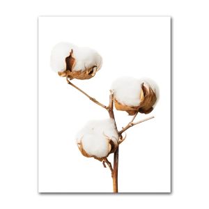 BILIBILI | Tranh Màu Nước Retro Vintage Thiên Nhiên Canvas Poster - Thiết Kế Lá Cây Hoa Không Khung Trang Trí Nghệ Thuật Treo Tường Cho Ngôi Nhà Phong Cách Hiện Đại