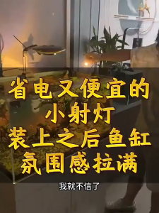 Aquarium Light Full Spectrum Fish Tank Lights LED Zoom Lights for Plants 3 Colors Adjustable Focal Length