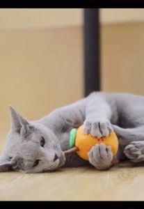 Lucky Kitty Cat Chew and Teeth Grinding Stick for Self-Entertainment
