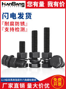 High Strength 12.9 Grade External Hexagonal Full Tooth Screw Nut Set Complete Combination M6 M8 M10 M12 M16 Carbon Steel Heat Treated