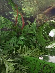 🐹【READY-STOCK】Colourful Crystal Wheel Silent Spinner for Hamster Roda Hamster Small Pet Toys Rat Exercise Running Wheel