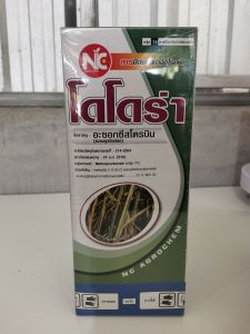 โดโดร่า อะซอกซีสโตรบิน (Azoxystrobin) 25% ออกฤทธิ์ดูดซึมเข้าสู่พืชอย่างรวดเร็ว ป้องกันแอนแทรคโนส โรคใบไหม้ ใบติด กาบใบแห้ง