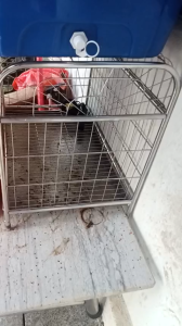 Lồng Chuồng nuôi chim