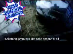 Lampu TORPEDO NELAYAN (Lampu Sinyal Nelayan Warna Hijau) Indikator Bawah Air Baterai Laut Ikan