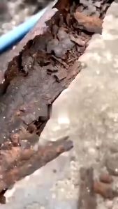 Anti Rust Paint for Metal 500g Rust Remover Primer Paint Coating for Rusty Metal Steel Protect