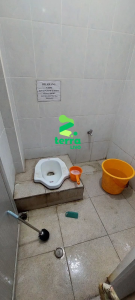 Terra Clean - Ampuh Membersihkan Noda Kerak Kamar mandi / Toilet 100% Original