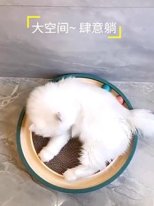 Peliharaan Papan Garukan & Mainan Cat Scratcher Tahan Lama