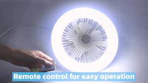 2IN1 Ceiling Light & Fan: A Comprehensive Guide